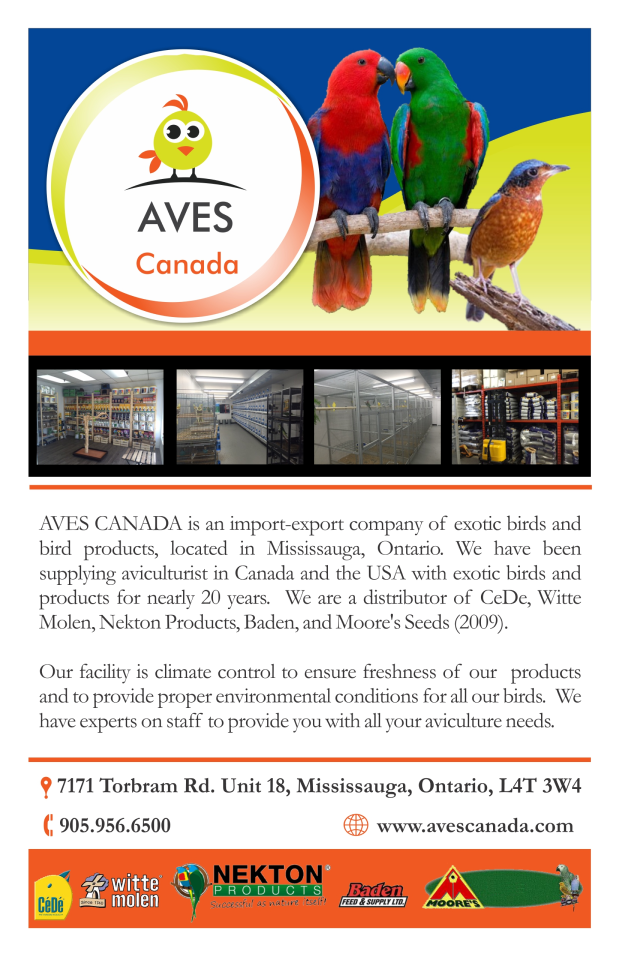 AVES Canada advertisement, 7171 Torbram Rd, Mississauga, 905-956-6580, www.avescanada.com